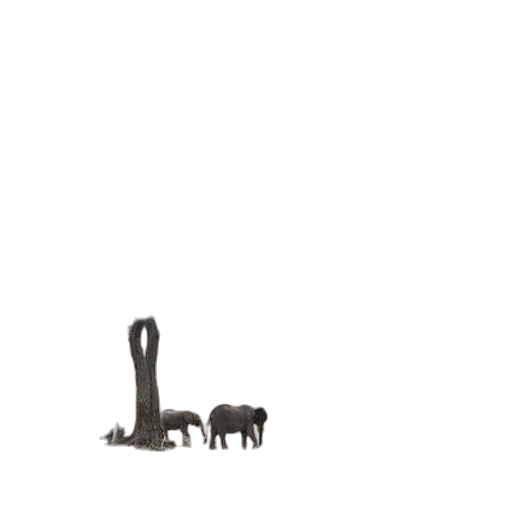 animal, furniture, weapon, shoes transparent PNG cut-out