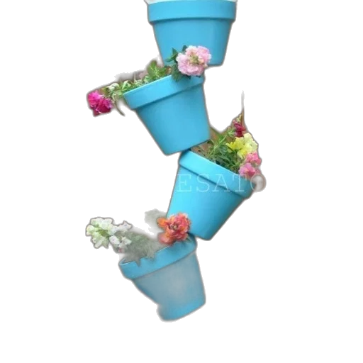 crown, flower, jewelry, staff transparent PNG cut-out