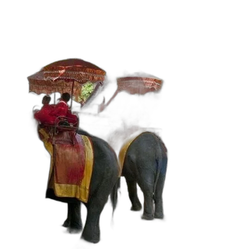umbrella, animal, hat, staff transparent PNG cut-out