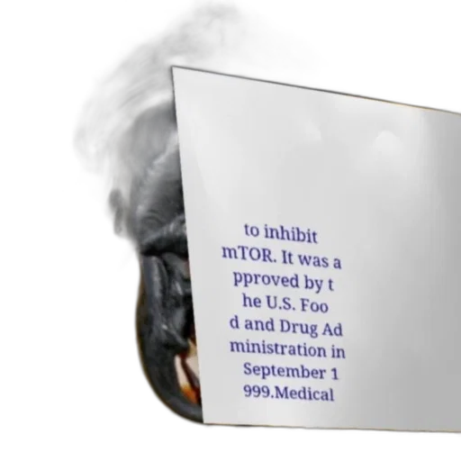 mask, hat, face, robot transparent PNG cut-out