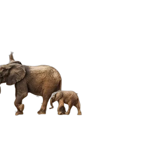 animal, creature, concept art, 3d render transparent PNG cut-out