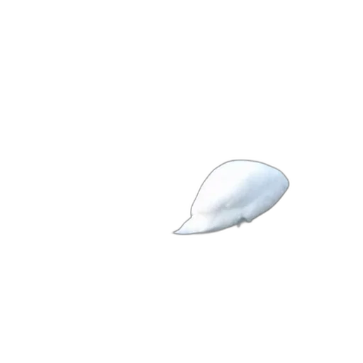 hat, shoes, umbrella, hair transparent PNG cut-out