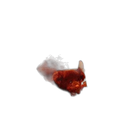 food, dragon, animal, creature transparent PNG cut-out