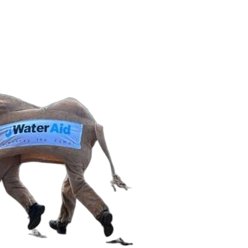 creature, animal, weapon, bottle transparent PNG cut-out