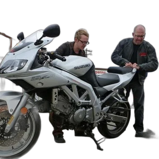 two, men, inspecting, white transparent PNG cut-out