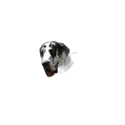 animal, creature, face, robot transparent PNG cut-out