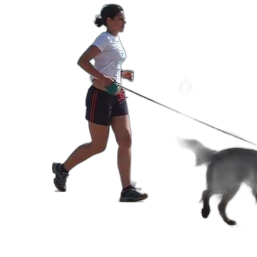 staff, animal, woman, jogs transparent PNG cut-out