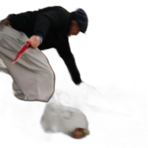 creature, hat, shoes, animal transparent PNG cut-out