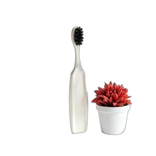 hair, crown, food, bottle transparent PNG cut-out