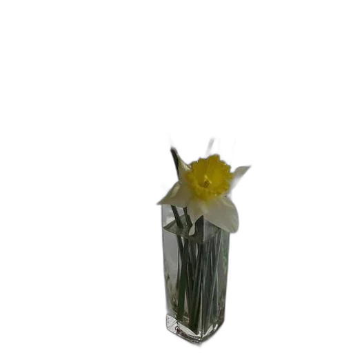 flower, bottle, crown, weapon transparent PNG cut-out