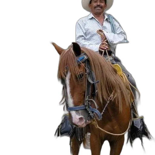 animal, staff, hat, photorealistic transparent PNG cut-out