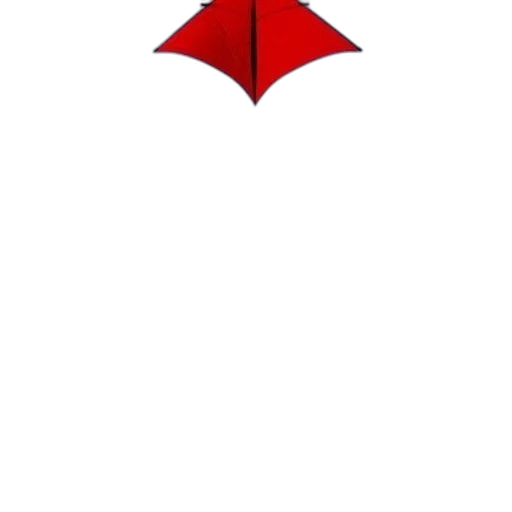 umbrella, staff, hat, flower transparent PNG cut-out