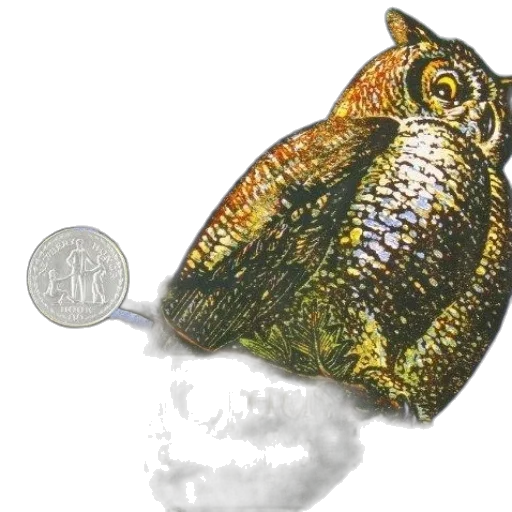 jewelry, food, hat, dragon transparent PNG cut-out