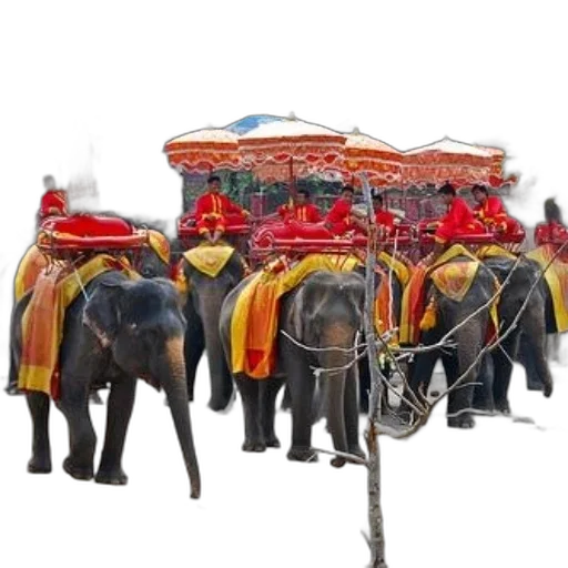 staff, animal, concept art, photorealistic transparent PNG cut-out