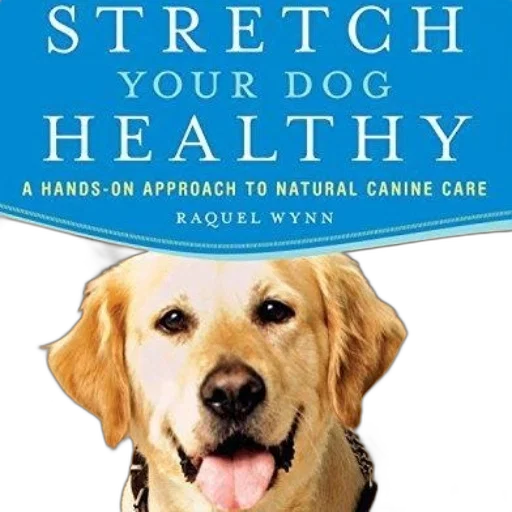 stretch, dog, healthy, hands-on transparent PNG cut-out