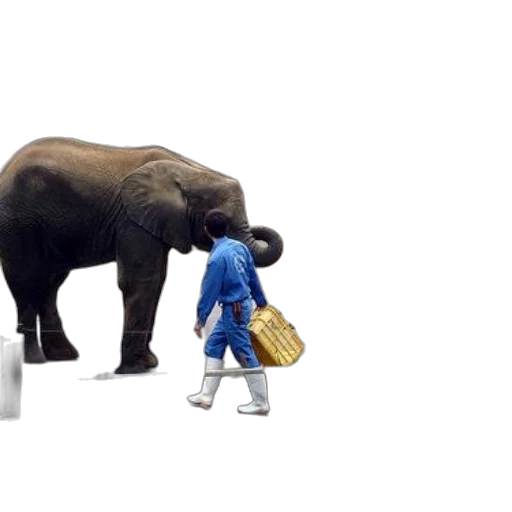 animal, concept art, 3d render, forest transparent PNG cut-out