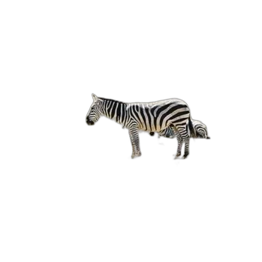 animal, creature, furniture, car transparent PNG cut-out