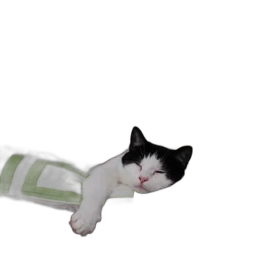 staff, animal, creature, robot transparent PNG cut-out