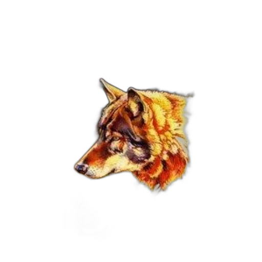 animal, jewelry, staff, jacket transparent PNG cut-out