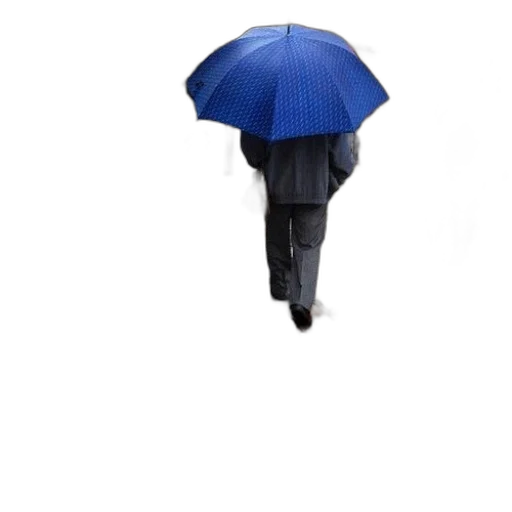 umbrella, jacket, staff, hat transparent PNG cut-out