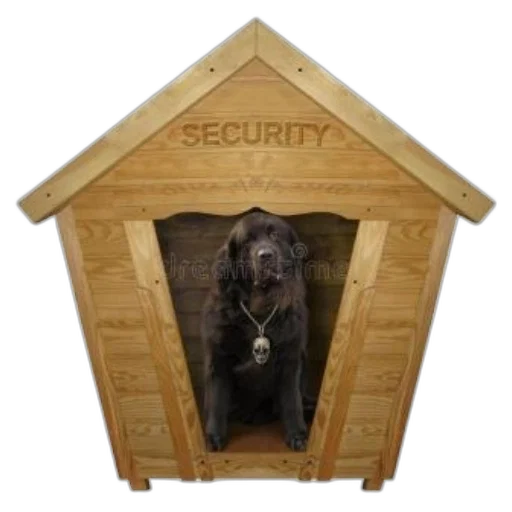 furniture, large, dog, wearing transparent PNG cut-out