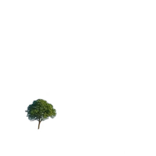 tree, umbrella, dress, crown transparent PNG cut-out