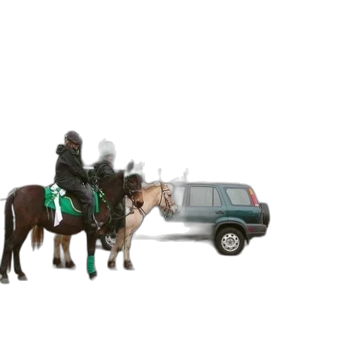 car, jacket, animal, concept art transparent PNG cut-out