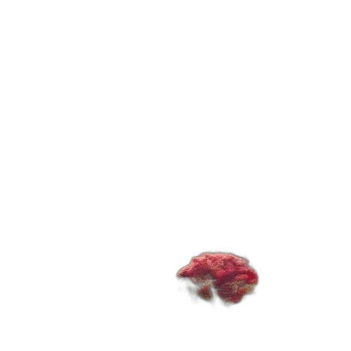 food, animal, creature, hat transparent PNG cut-out
