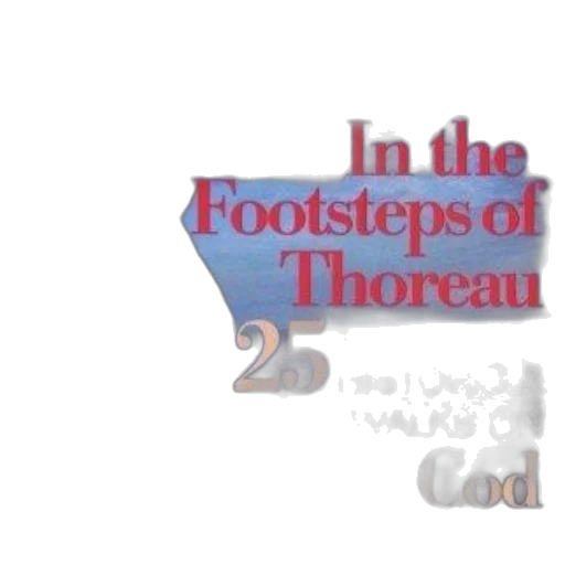 shoes, book, cover, titled transparent PNG cut-out