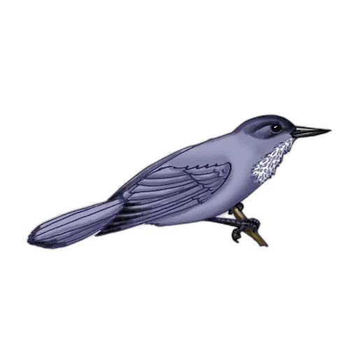 animal, staff, jewelry, photorealistic transparent PNG cut-out