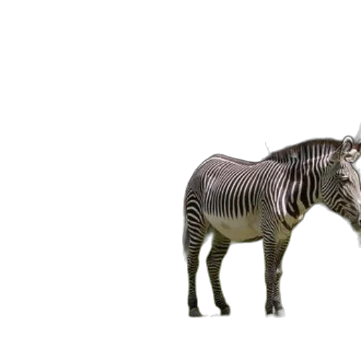 animal, creature, robot, furniture transparent PNG cut-out