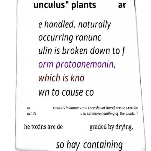 poster, text, about, handling transparent PNG cut-out