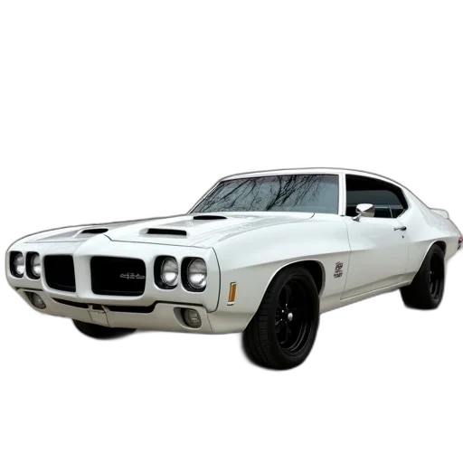 car, weapon, animal, photorealistic transparent PNG cut-out