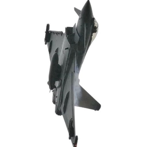 weapon, jacket, animal, 3d render transparent PNG cut-out