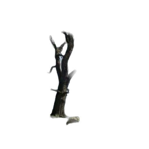staff, weapon, sword, furniture transparent PNG cut-out