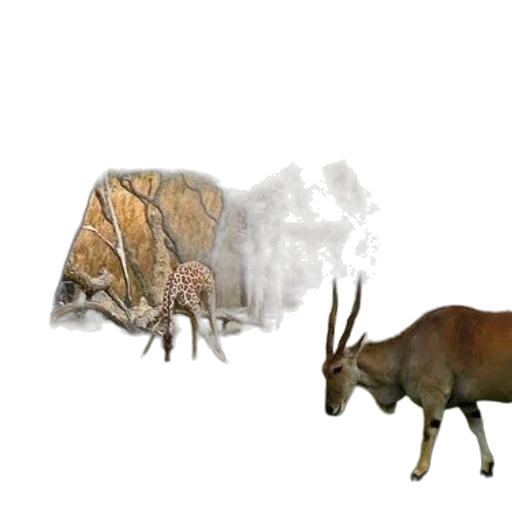 animal, creature, concept art, 3d render transparent PNG cut-out