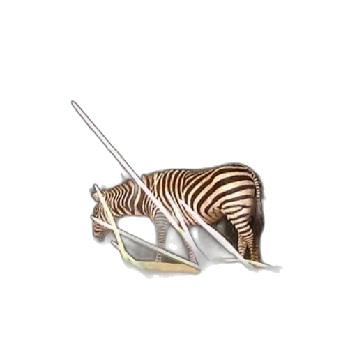jewelry, animal, weapon, staff transparent PNG cut-out