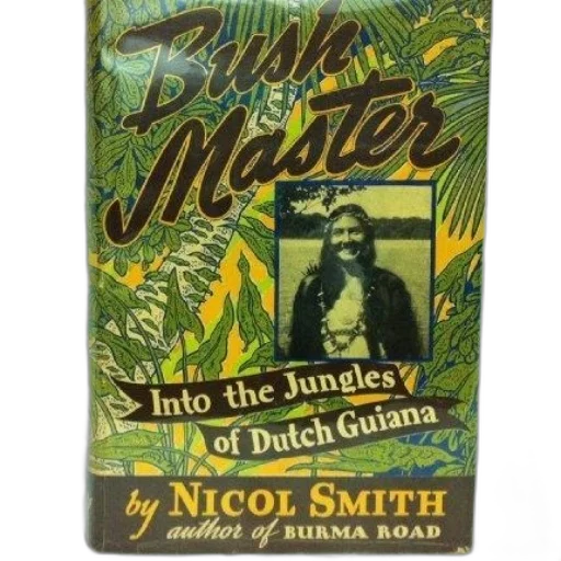 book, cover, features, vibrant transparent PNG cut-out