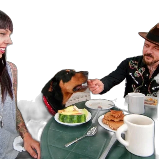 food, man, feeds, dog transparent PNG cut-out