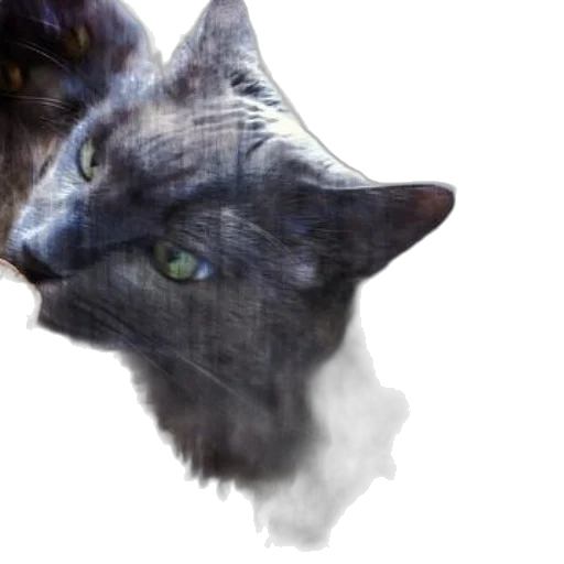 animal, dragon, creature, face transparent PNG cut-out