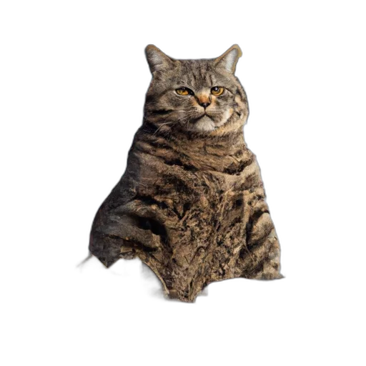 animal, creature, staff, face transparent PNG cut-out