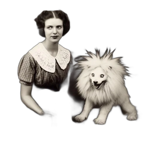 animal, staff, creature, crown transparent PNG cut-out