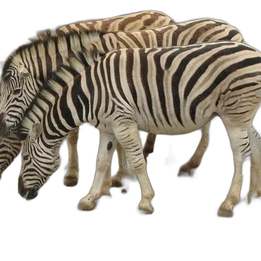 animal, creature, 3d render, concept art transparent PNG cut-out