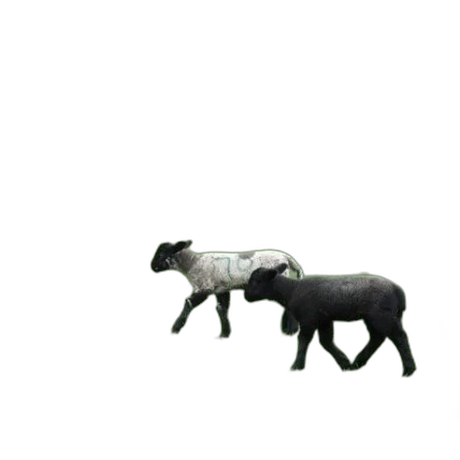 animal, furniture, robot, creature transparent PNG cut-out