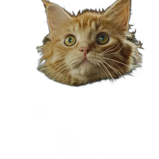animal, creature, crown, staff transparent PNG cut-out
