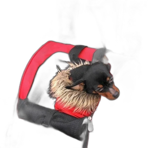 mask, animal, staff, hat transparent PNG cut-out
