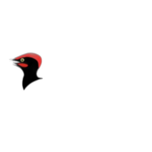 staff, dark, red, diagram transparent PNG cut-out