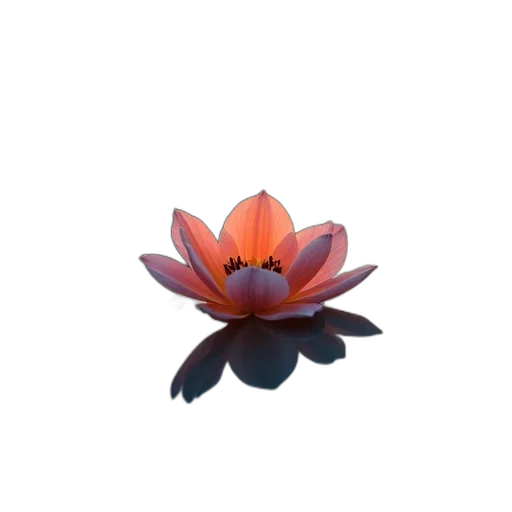 flower, crown, jewelry, staff transparent PNG cut-out