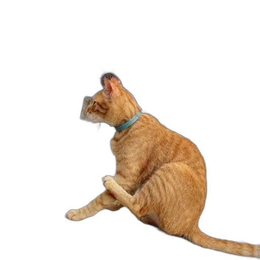 staff, animal, creature, weapon transparent PNG cut-out