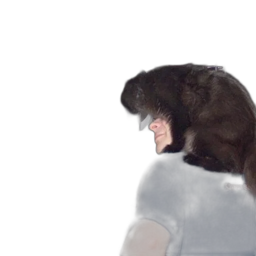 animal, creature, hair, face transparent PNG cut-out